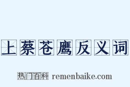 上蔡苍鹰反义词是什么意思的图片